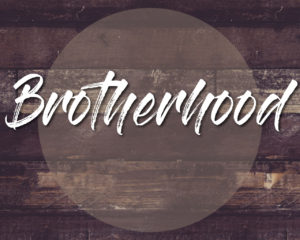 Rent Brotherhood (2006-2008) TV Series | CinemaParadiso.co.uk